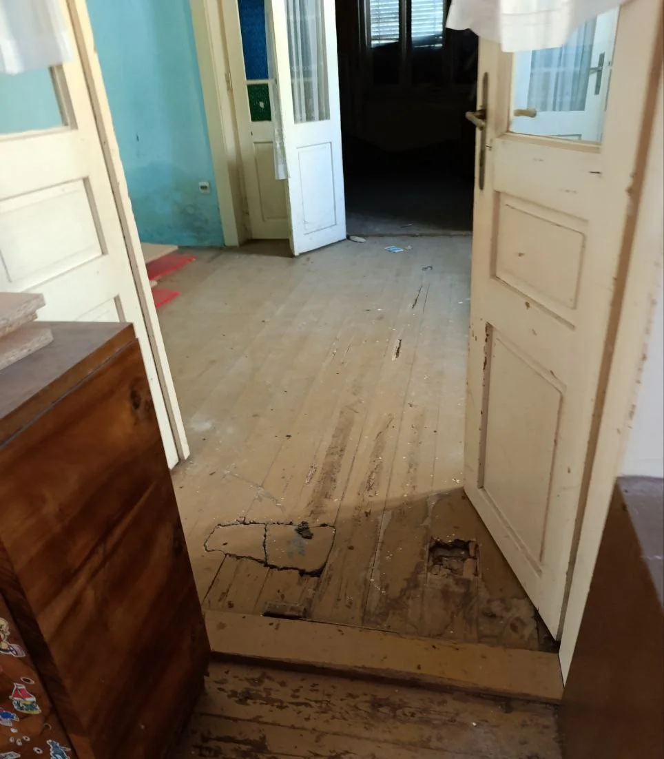 Два дома на центральной локации, большой участок. 35 км от Нови Сада