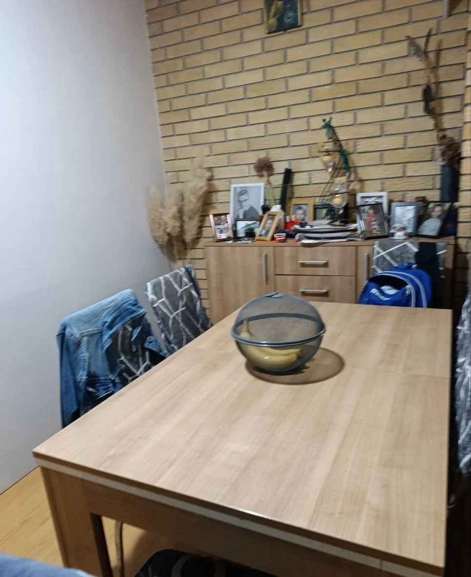 4-х комнатная квартира с гаражом в городе. 40 км от Нови Сада