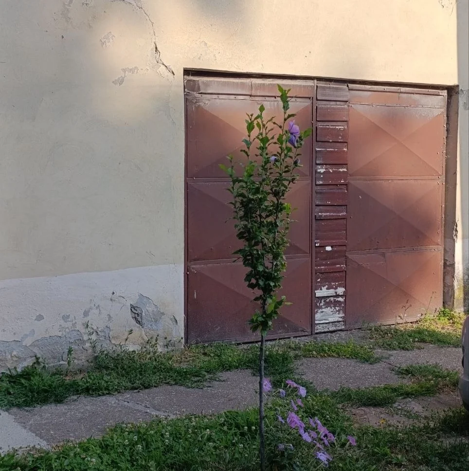 4-х комнатная квартира с гаражом в городе. 40 км от Нови Сада