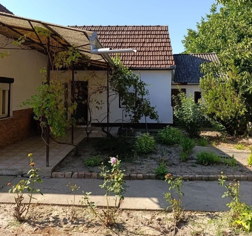 Комфортный дом в центре села. 50 км от Нови Сада.