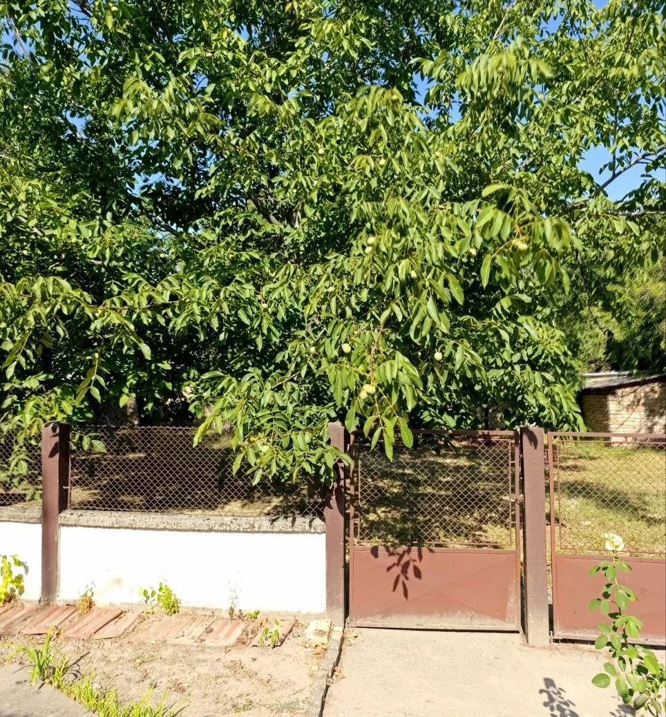 Комфортный дом в центре села. 50 км от Нови Сада.