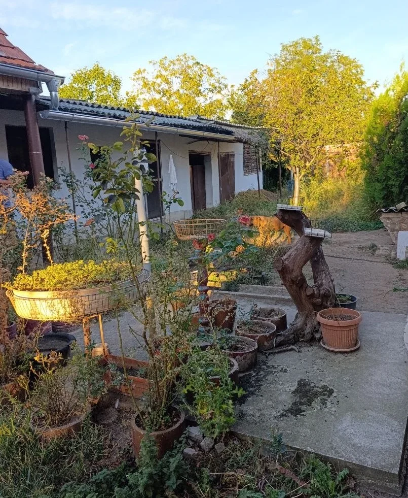 Жилой дом в городе. 40 км от Нови Сада.