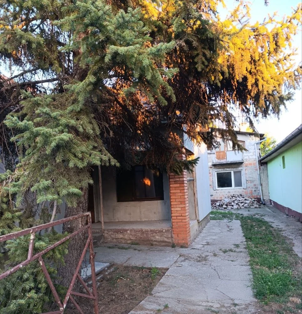Два дома из твердого материала на одном участке в городе. 40 км от Нови Сада.