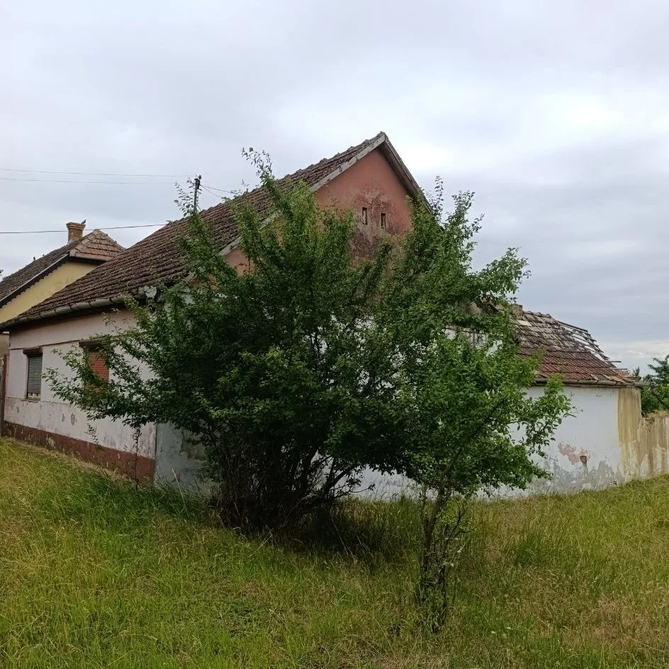 Предложение под дачу/ВНЖ/проживание.50 км от Нови Сада.