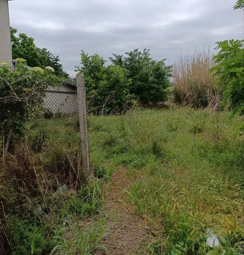 Предложение под дачу/ВНЖ/проживание.50 км от Нови Сада.